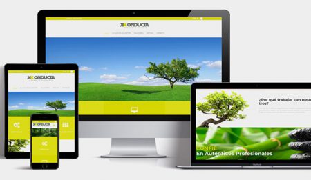 Actualizamos nuestra web