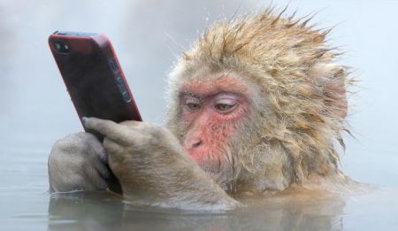 Wifi gratis... ¿o no? - El robo de datos